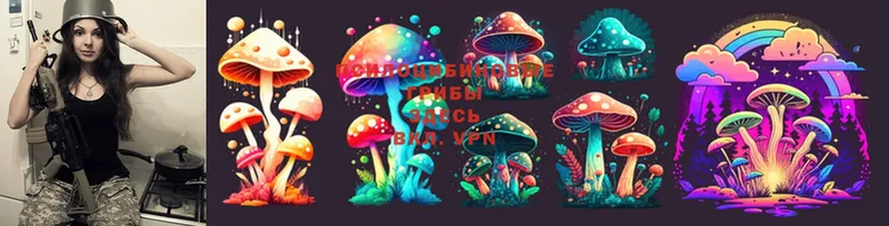 Псилоцибиновые грибы Magic Shrooms  Алупка 